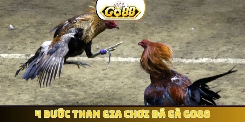 4 bước tham gia chơi đá gà GO88