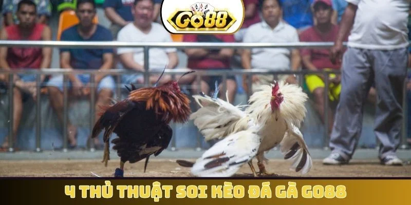 4 thủ thuật soi kèo đá gà GO88
